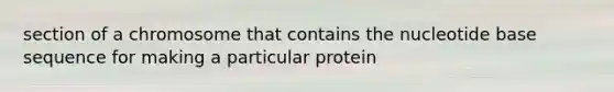 section of a chromosome that contains the nucleotide base sequence for making a particular protein