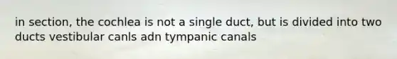 in section, the cochlea is not a single duct, but is divided into two ducts vestibular canls adn tympanic canals