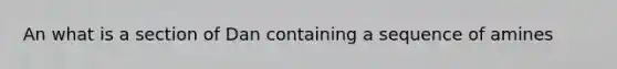 An what is a section of Dan containing a sequence of amines