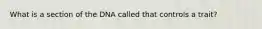 What is a section of the DNA called that controls a trait?