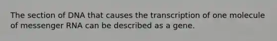 The section of DNA that causes the transcription of one molecule of messenger RNA can be described as a gene.