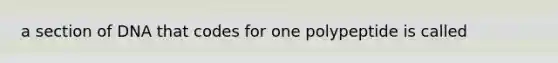 a section of DNA that codes for one polypeptide is called