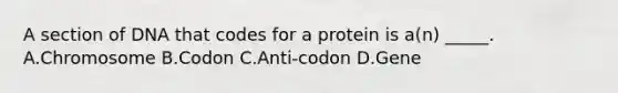 A section of DNA that codes for a protein is a(n) _____. A.Chromosome B.Codon C.Anti-codon D.Gene