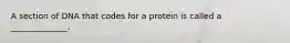 A section of DNA that codes for a protein is called a ______________.