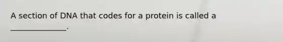 A section of DNA that codes for a protein is called a ______________.