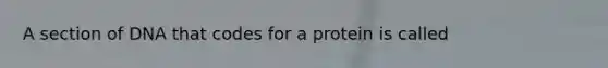 A section of DNA that codes for a protein is called