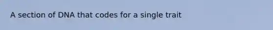 A section of DNA that codes for a single trait