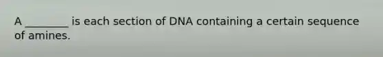 A ________ is each section of DNA containing a certain sequence of amines.