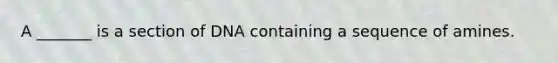 A _______ is a section of DNA containing a sequence of amines.
