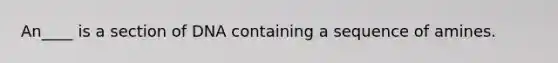 An____ is a section of DNA containing a sequence of amines.