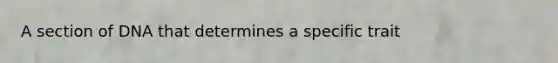 A section of DNA that determines a specific trait