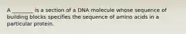 A ________ is a section of a DNA molecule whose sequence of building blocks specifies the sequence of amino acids in a particular protein.