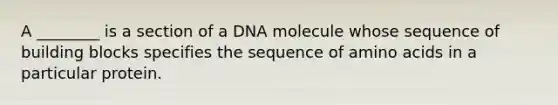 A ________ is a section of a DNA molecule whose sequence of building blocks specifies the sequence of amino acids in a particular protein.