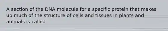 A section of the DNA molecule for a specific protein that makes up much of the structure of cells and tissues in plants and animals is called