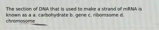 The section of DNA that is used to make a strand of mRNA is known as a a. carbohydrate b. gene c. ribomsome d. chromosome