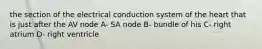 the section of the electrical conduction system of the heart that is just after the AV node A- SA node B- bundle of his C- right atrium D- right ventricle