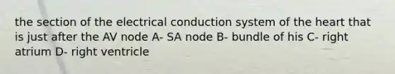 the section of the electrical conduction system of the heart that is just after the AV node A- SA node B- bundle of his C- right atrium D- right ventricle