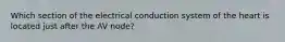 Which section of the electrical conduction system of the heart is located just after the AV node?