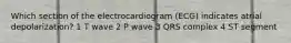 Which section of the electrocardiogram (ECG) indicates atrial depolarization? 1 T wave 2 P wave 3 QRS complex 4 ST segment