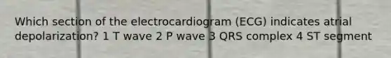 Which section of the electrocardiogram (ECG) indicates atrial depolarization? 1 T wave 2 P wave 3 QRS complex 4 ST segment