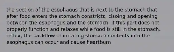 the section of <a href='https://www.questionai.com/knowledge/kSjVhaa9qF-the-esophagus' class='anchor-knowledge'>the esophagus</a> that is next to <a href='https://www.questionai.com/knowledge/kLccSGjkt8-the-stomach' class='anchor-knowledge'>the stomach</a> that after food enters the stomach constricts, clsoing and opening between the esophagus and the stomach. if this part does not properly function and relaxes while food is still in the stomach, reflux, the backflow of irritating stomach contents into the esophagus can occur and cause heartburn