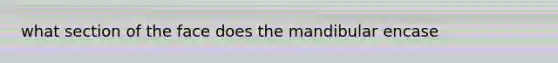 what section of the face does the mandibular encase