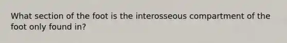 What section of the foot is the interosseous compartment of the foot only found in?