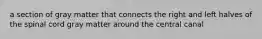a section of gray matter that connects the right and left halves of the spinal cord gray matter around the central canal