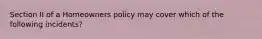 Section II of a Homeowners policy may cover which of the following incidents?