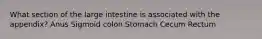 What section of the large intestine is associated with the appendix? Anus Sigmoid colon Stomach Cecum Rectum