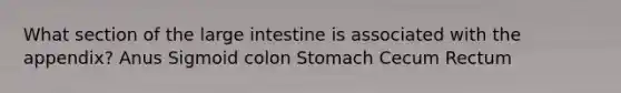 What section of the large intestine is associated with the appendix? Anus Sigmoid colon Stomach Cecum Rectum