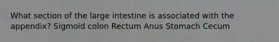 What section of the large intestine is associated with the appendix? Sigmoid colon Rectum Anus Stomach Cecum