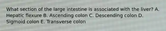 What section of the large intestine is associated with the liver? A. Hepatic flexure B. Ascending colon C. Descending colon D. Sigmoid colon E. Transverse colon