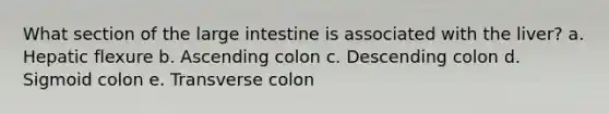 What section of the large intestine is associated with the liver? a. Hepatic flexure b. Ascending colon c. Descending colon d. Sigmoid colon e. Transverse colon