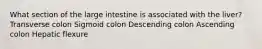 What section of the large intestine is associated with the liver? Transverse colon Sigmoid colon Descending colon Ascending colon Hepatic flexure