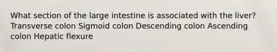 What section of the large intestine is associated with the liver? Transverse colon Sigmoid colon Descending colon Ascending colon Hepatic flexure