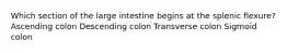 Which section of the large intestine begins at the splenic flexure? Ascending colon Descending colon Transverse colon Sigmoid colon