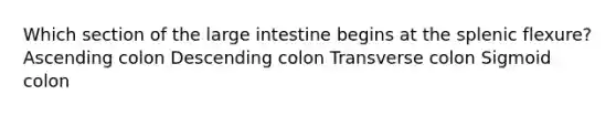 Which section of the large intestine begins at the splenic flexure? Ascending colon Descending colon Transverse colon Sigmoid colon