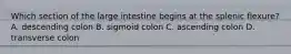 Which section of the large intestine begins at the splenic flexure? A. descending colon B. sigmoid colon C. ascending colon D. transverse colon