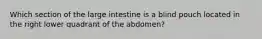 Which section of the large intestine is a blind pouch located in the right lower quadrant of the abdomen?