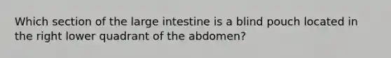 Which section of the large intestine is a blind pouch located in the right lower quadrant of the abdomen?