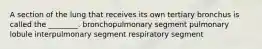 A section of the lung that receives its own tertiary bronchus is called the ________. bronchopulmonary segment pulmonary lobule interpulmonary segment respiratory segment