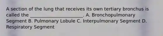 A section of the lung that receives its own tertiary bronchus is called the _______________________. A. Bronchopulmonary Segment B. Pulmonary Lobule C. Interpulmonary Segment D. Respiratory Segment