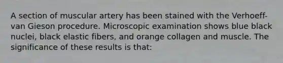 A section of muscular artery has been stained with the Verhoeff-van Gieson procedure. Microscopic examination shows blue black nuclei, black elastic fibers, and orange collagen and muscle. The significance of these results is that: