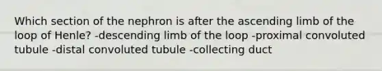 Which section of the nephron is after the ascending limb of the loop of Henle? -descending limb of the loop -proximal convoluted tubule -distal convoluted tubule -collecting duct