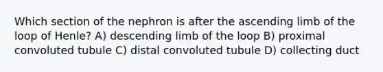 Which section of the nephron is after the ascending limb of the loop of Henle? A) descending limb of the loop B) proximal convoluted tubule C) distal convoluted tubule D) collecting duct