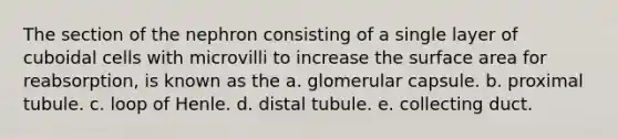 The section of the nephron consisting of a single layer of cuboidal cells with microvilli to increase the surface area for reabsorption, is known as the a. glomerular capsule. b. proximal tubule. c. loop of Henle. d. distal tubule. e. collecting duct.