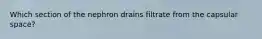 Which section of the nephron drains filtrate from the capsular space?