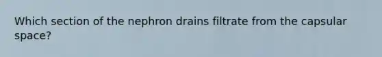 Which section of the nephron drains filtrate from the capsular space?