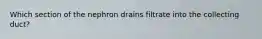 Which section of the nephron drains filtrate into the collecting duct?